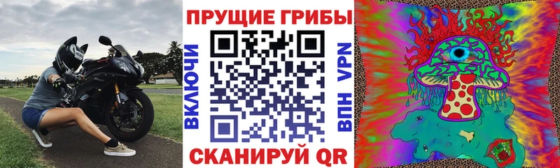Галлюциногенные грибы MAGIC MUSHROOMS  Себеж 